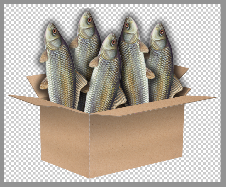 fish example.png